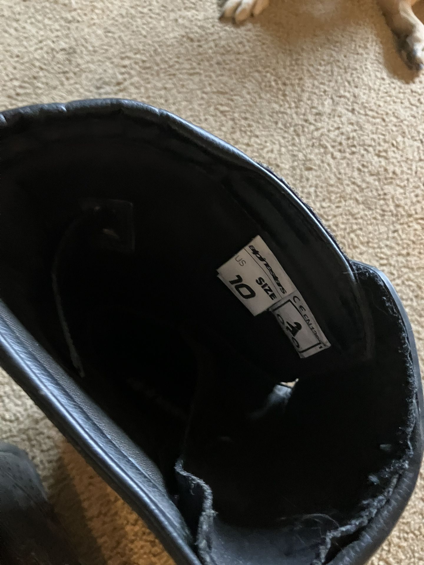 Ocean Rated Wetsuit Boots Hood Weight Belt And Fins
