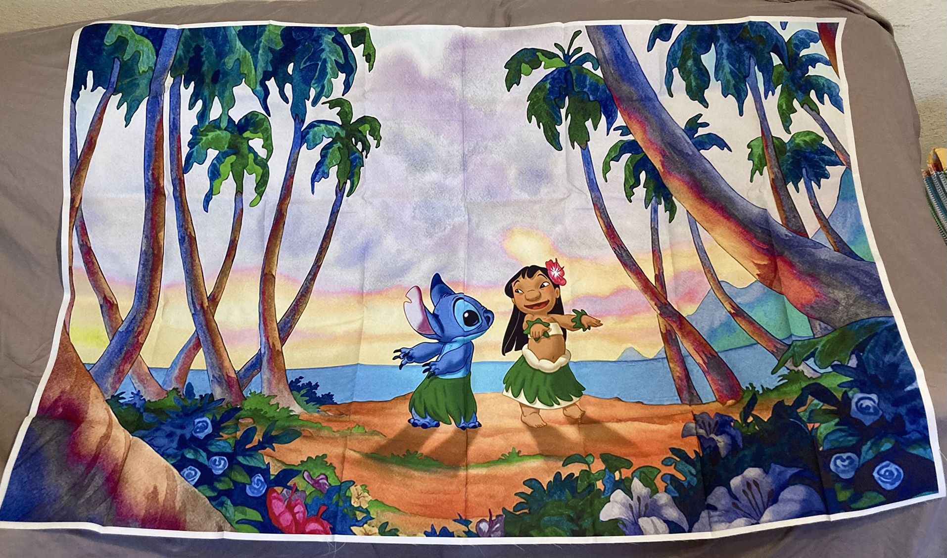 Lilo And Stich Backdrop 