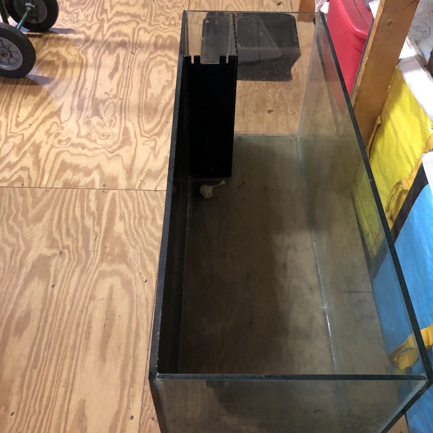 Aquarium For Sale 