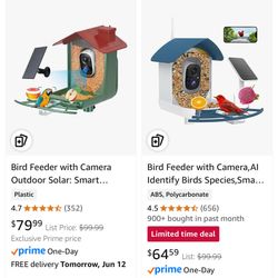 bird feeder with camera