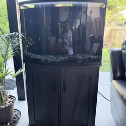 36 Gallon Bowfront Aquarium w/ Stand, LED Lights & 2 Filters – Like New