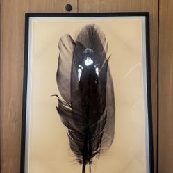 Large, stunning wall artwork / picture of black feather