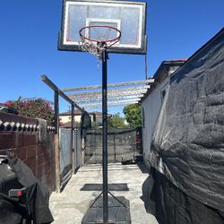 Basketball Court