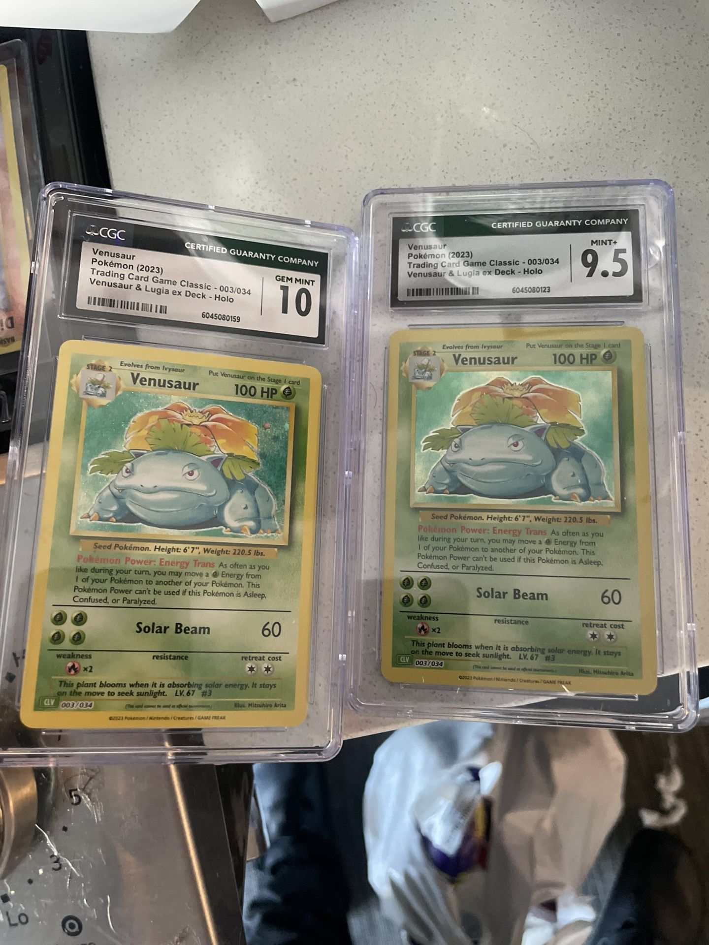Grade Venusaur Pokémon slabs