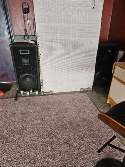 2 Prostudio 12in Subs In Box