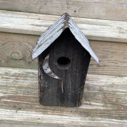 Bird House 