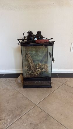 Free Reptile tank  with lights