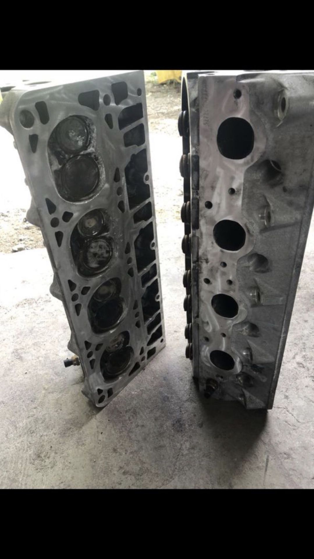 243 799 Heads For Sale In Pasadena TX OfferUp 243-799-heads-for-sale-in-pasadena-tx-offerup