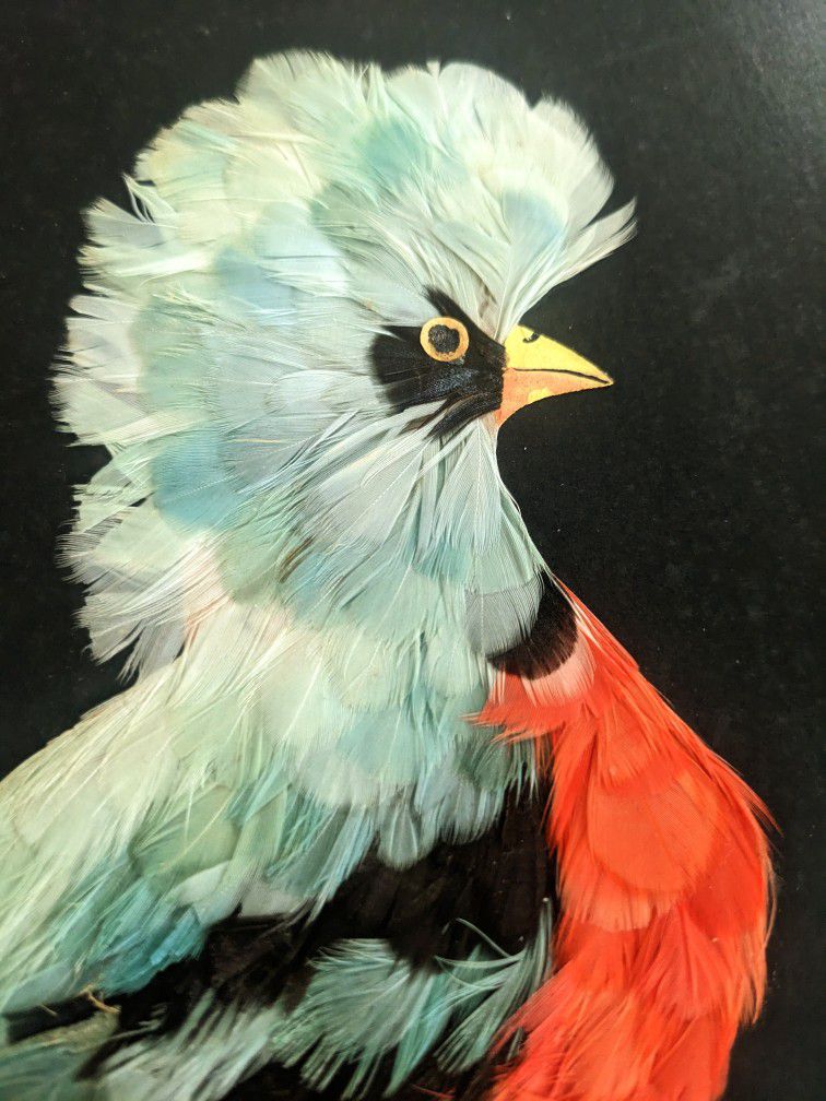 Stunning vintage 3D feathered Original Oil Bird Painting! Head 
