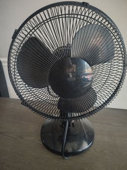 Fan