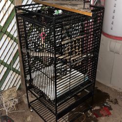 Bird Cage