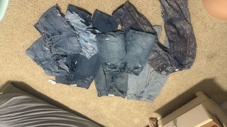 Jeans, Shorts, Jorts