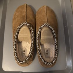 Tasman Uggs