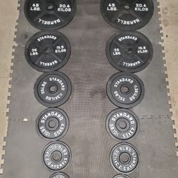 Complete Olympic Weight Set(2x45lbs 2x35lbs 2x25lbs 2x10lbs 2x5lbs 2x2½) Thats 245lbs All Together 