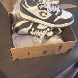 Coach Shoes 
