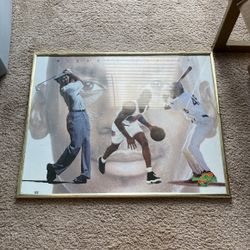 Michael Jordan Picture 