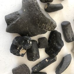 Dinasaur Whale Fossils And More 