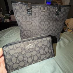 Coach Bag With Matching Wallet 130$