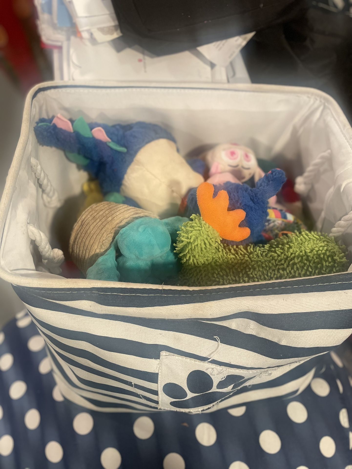 Bin With washed Dog Toys 