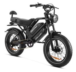HappyRun G70 2000W Dual Battery Fast Electric Cargo Bike