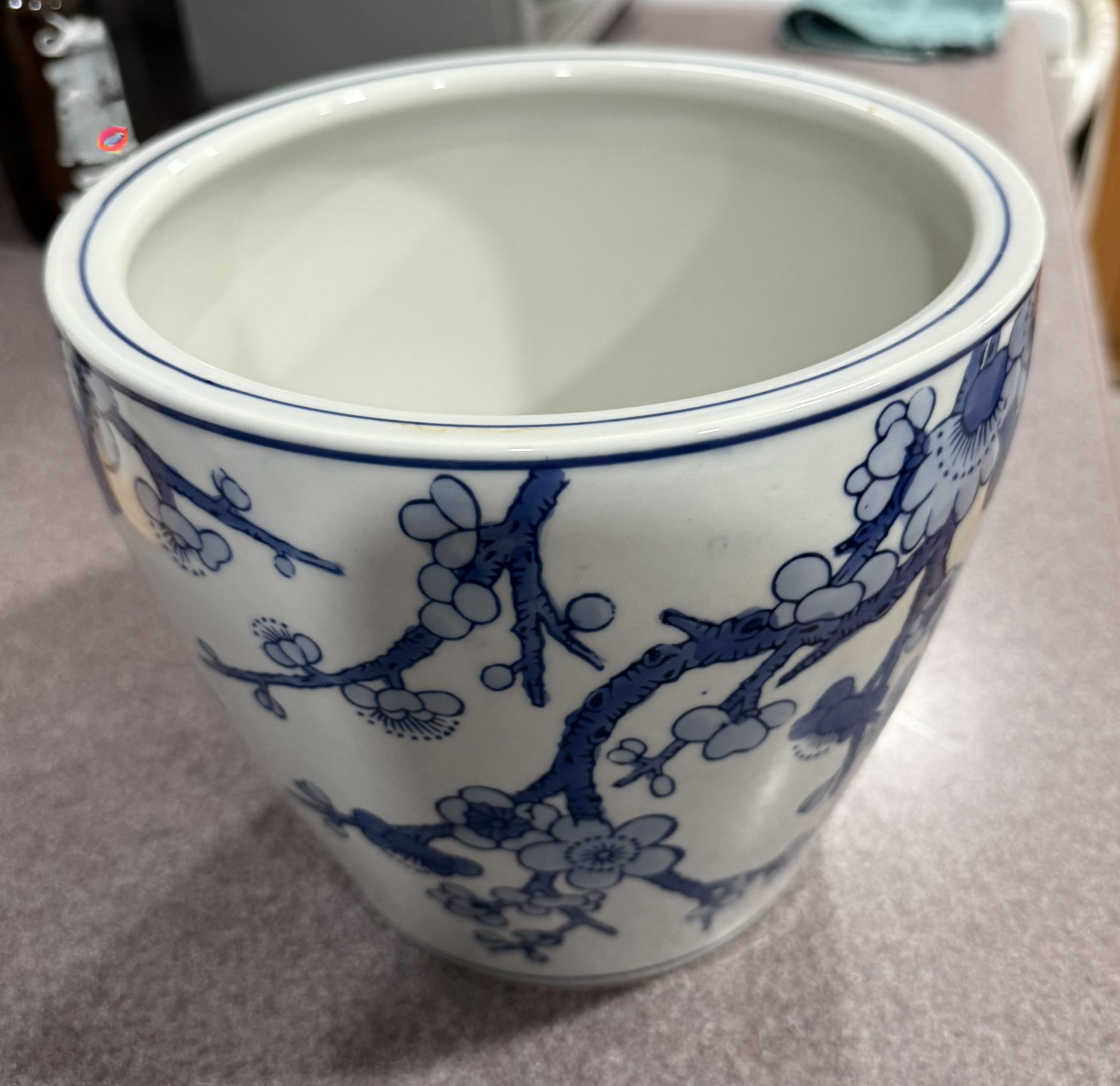 Glass Plant Pot
