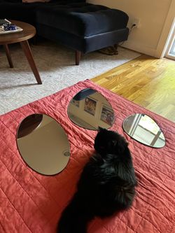 Decorative Wall Mirrors (3)