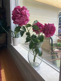 Floral/Glass vase