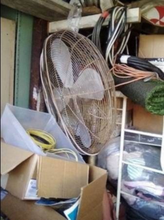 Big Fan