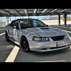 2000 Ford Mustang