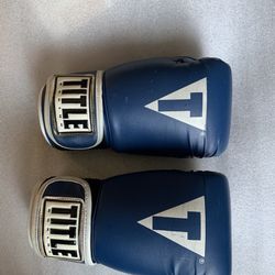 Title Boxing Gloves 12 Oz  MMA 