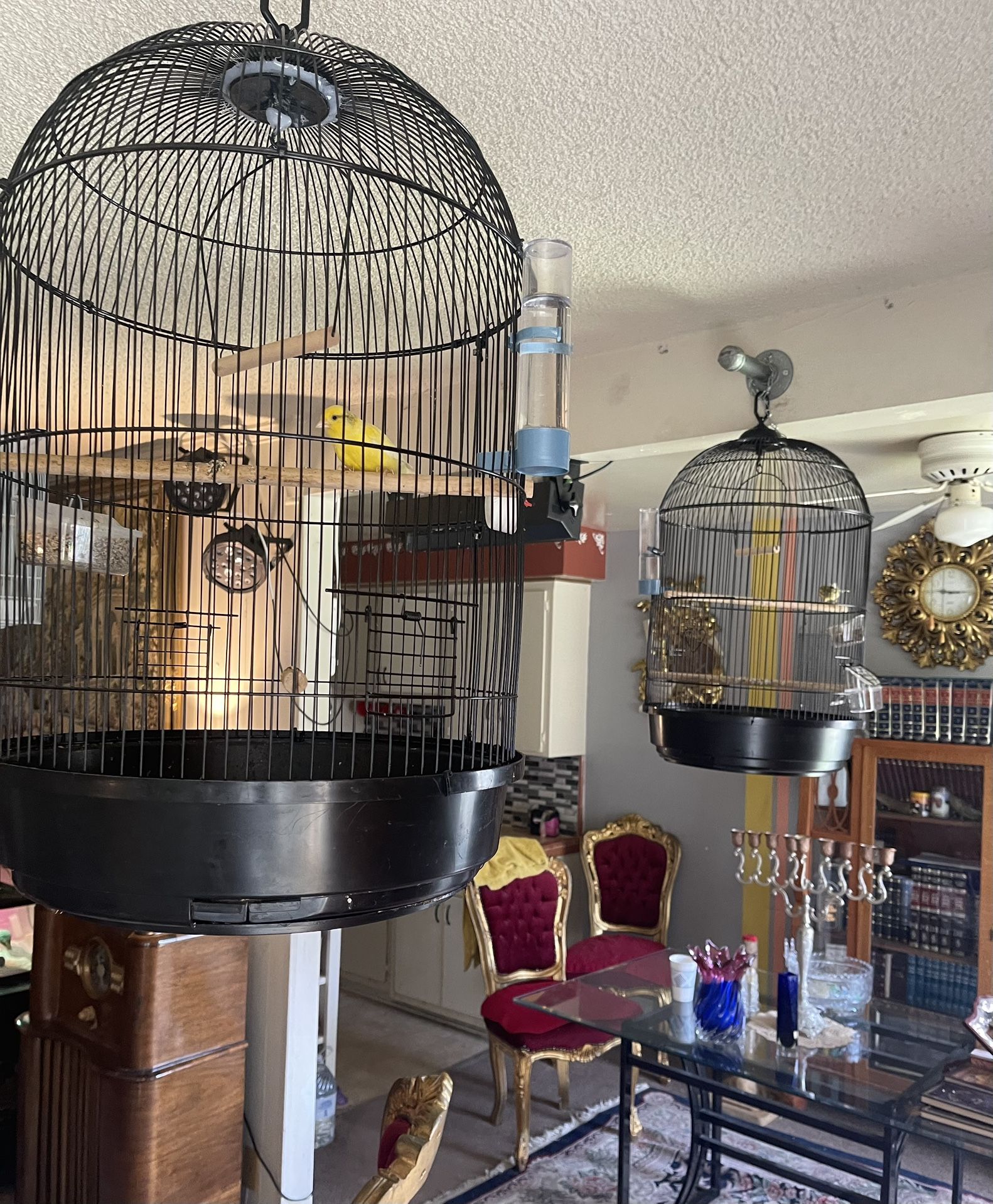 Bird Cage , Hanging Round , Black