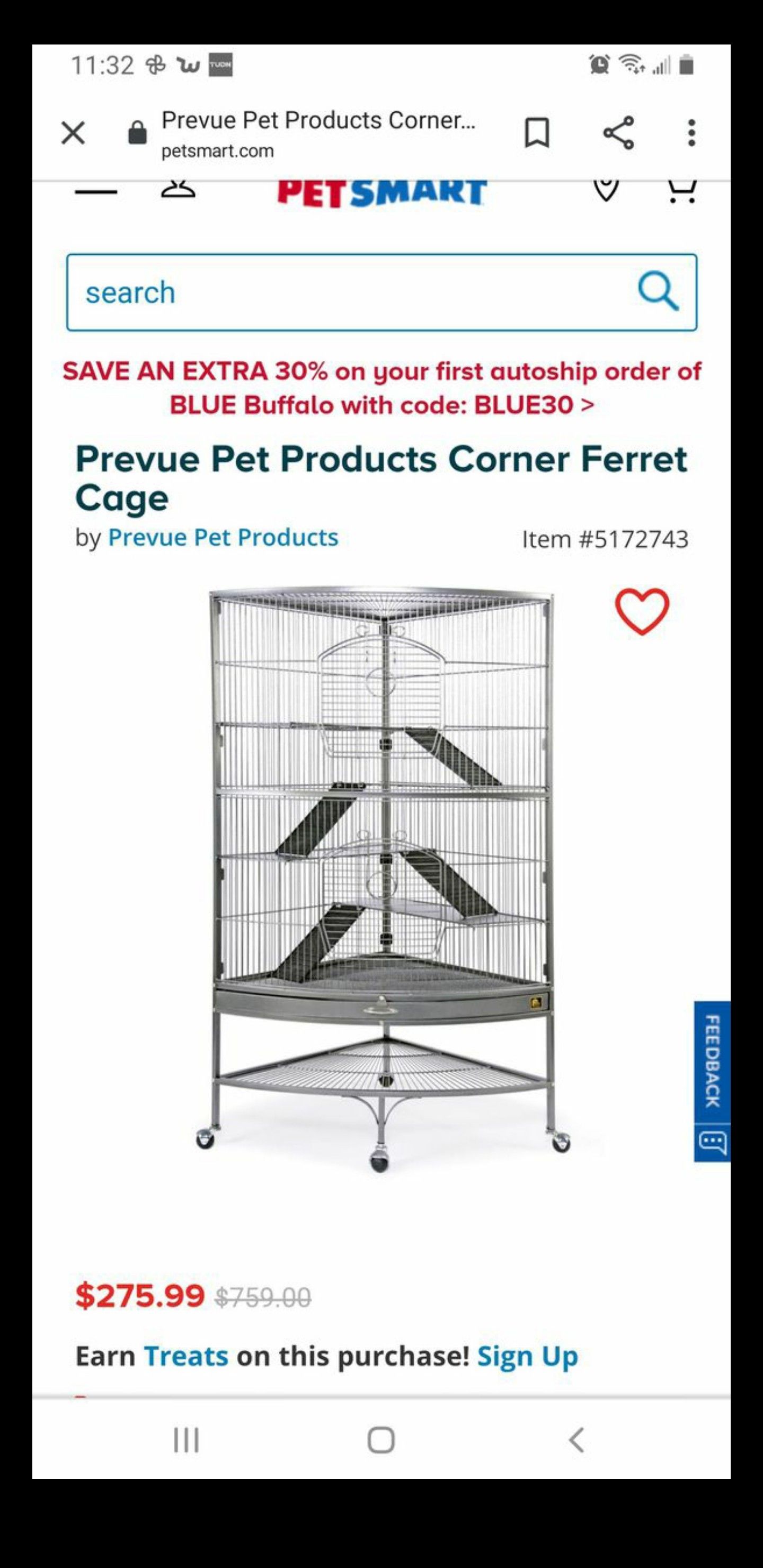 Big Bird corner cage whit 3 parakeets 2 green and 1 blue