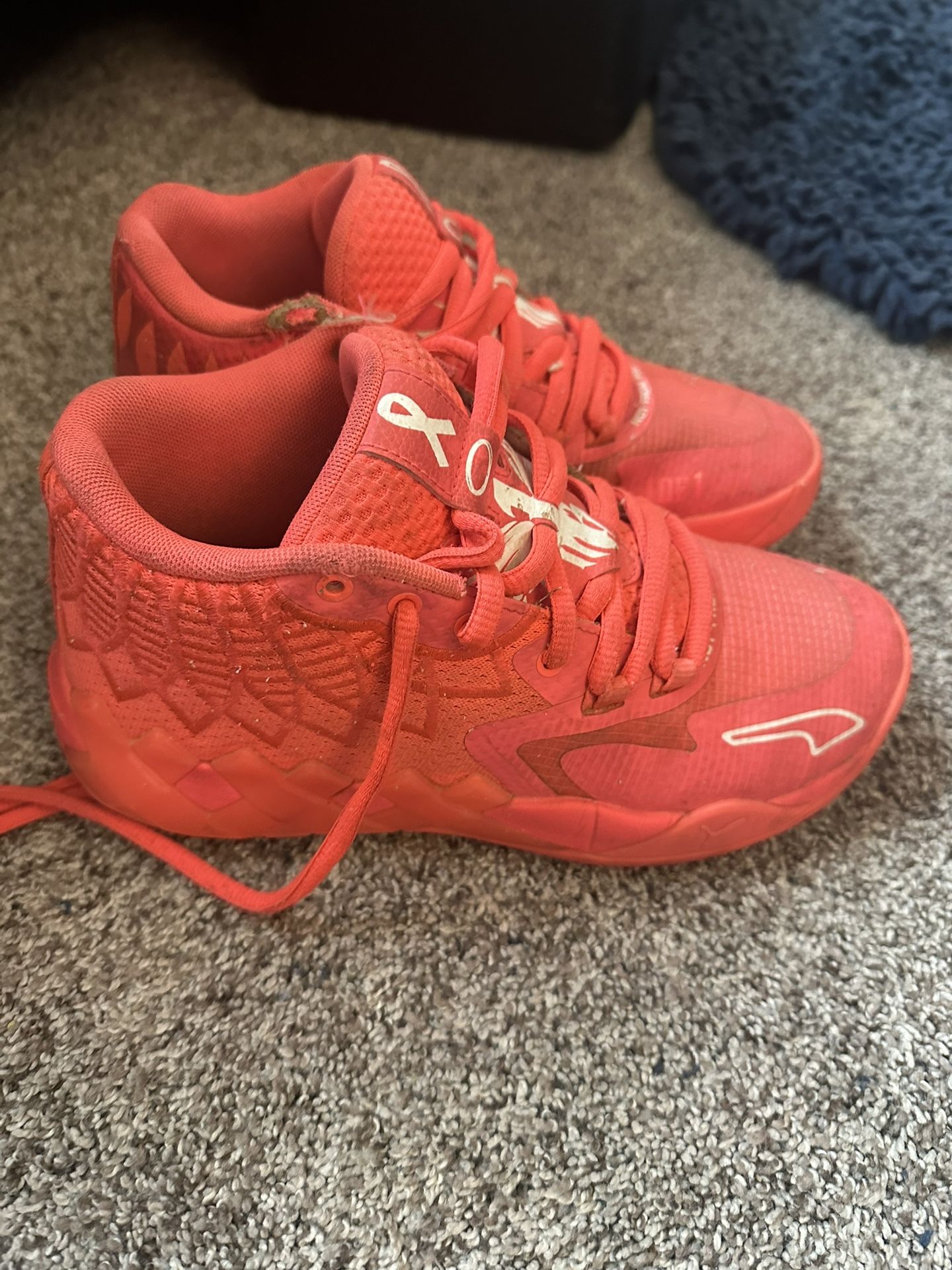 Puma Basketball Shoes Kids 