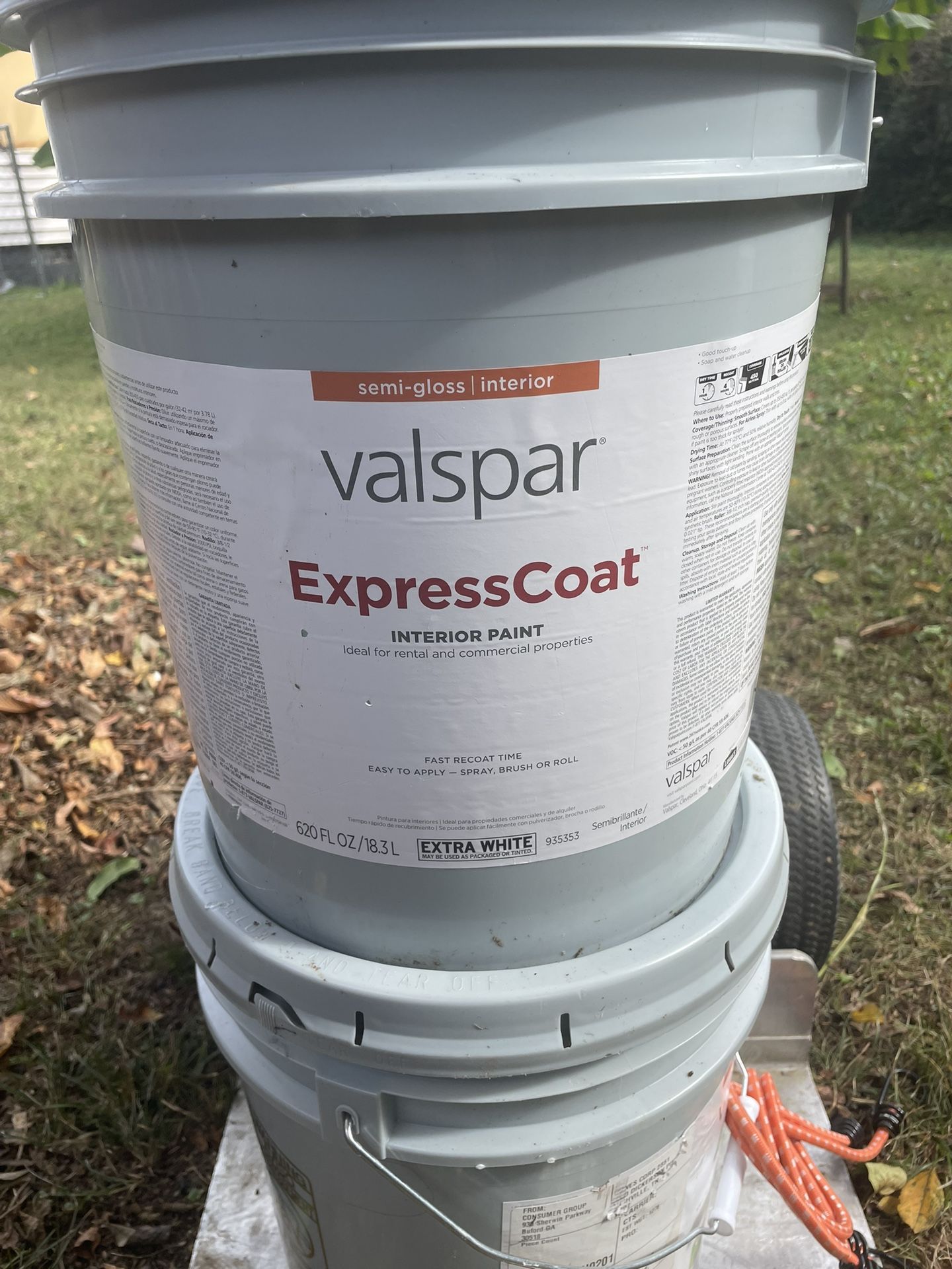 White Interior Paint