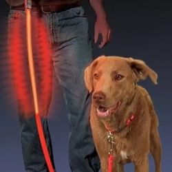 Nite Ize NiteDawg LED Light-Up Dog Leash 5 feet Red with Extra CR 2032 battery, New, Firm , More Than 1 Available 