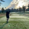 David