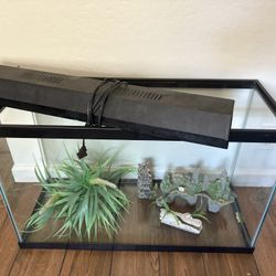 Fish Tank For Sale