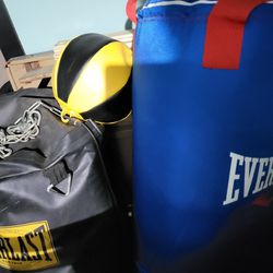 2 Everlast Punching Bag And Speed Ball