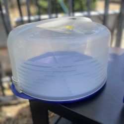 Cake Holder For $3