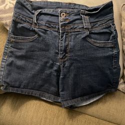 Size Large Ladies Shorts