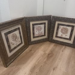 three paintings by Rose, artist Scaletta