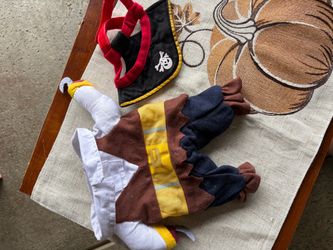 Pirate Halloween costume medium