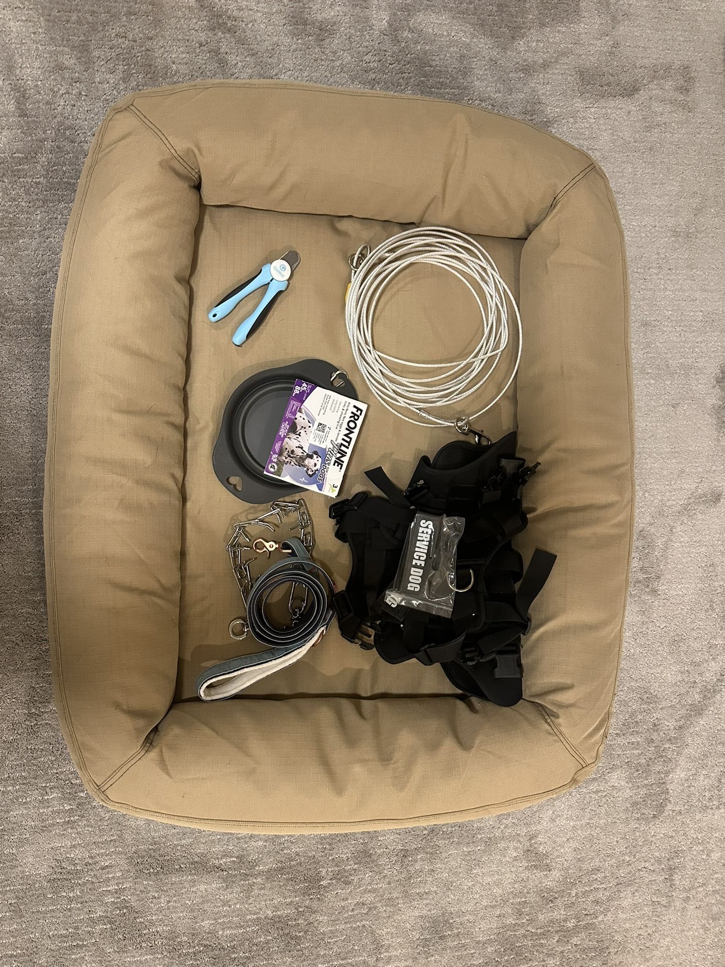 Miscellaneous Large Dog Items  