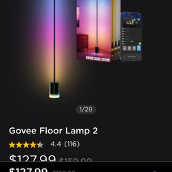 Govee Floor Lamp 2 
