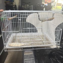 Bird Cage