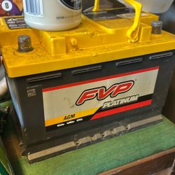 Fvp Platinum Battery