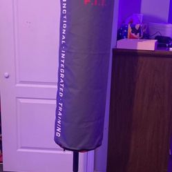 Everlast Punching Bag 