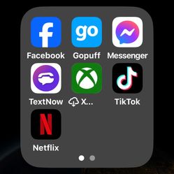 iPhone 16 With TikTok 
