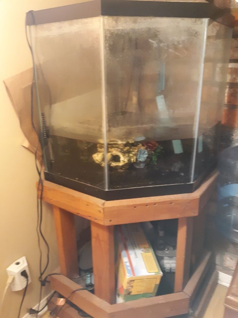 55 Gal Fish Tank and Supplies