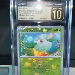 Cottonee Pristine 10 From Terastal Fest Master Ball 